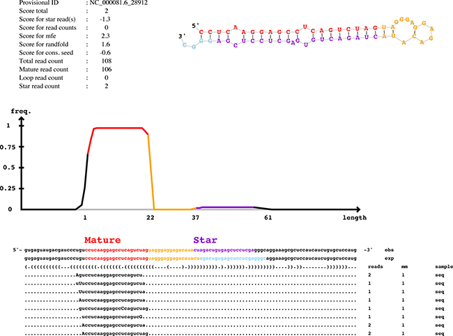 Predicted novel miRNAs in mSEs.