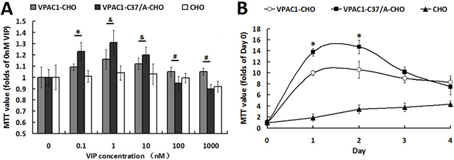 VPAC1-CHO cells had lower proliferative activity than VPAC1-C37/A-CHO cells.