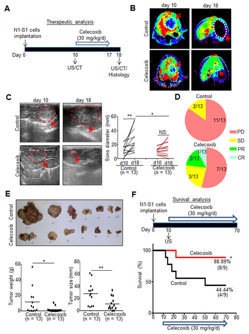 Fig 3: Therapeutic and survival effect of celecoxib in rats bearing established Novikoff hepatoma.