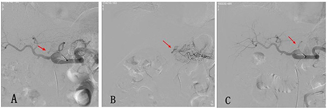 Figure 2: