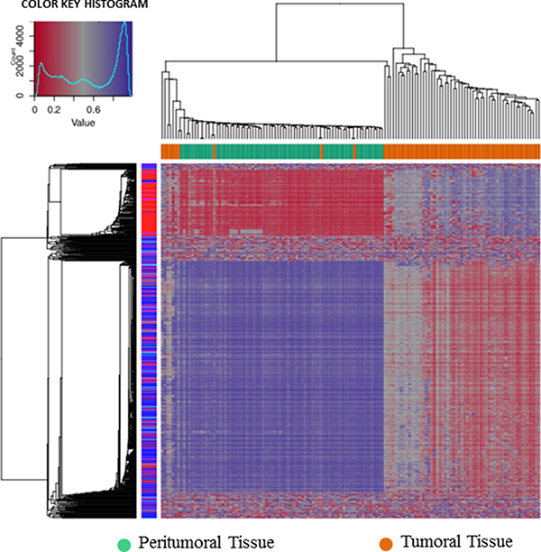 Hierarchical cluster analysis.