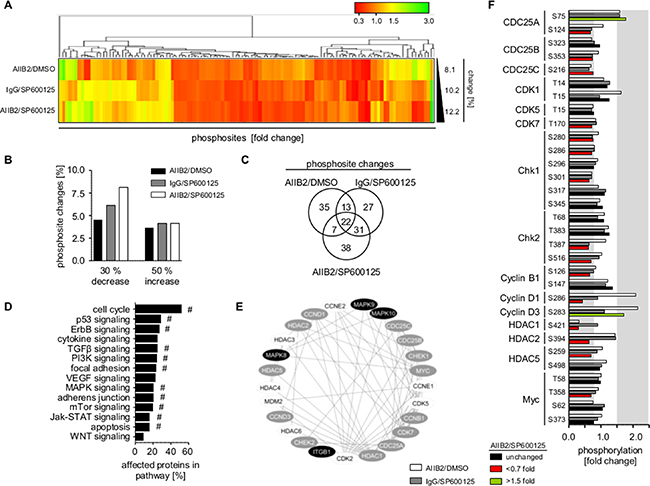 &#x03B2;1 integrin/JNK co-targeting interferes with cell cycle regulatory networks.