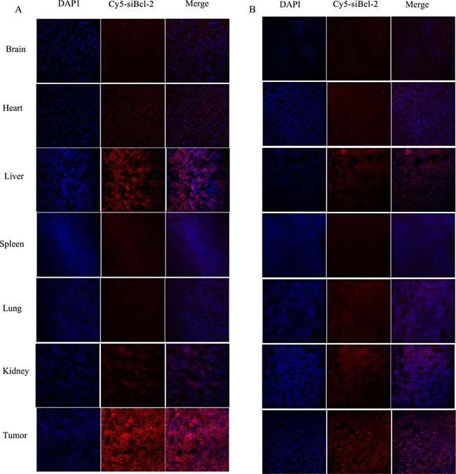 Figure 10: