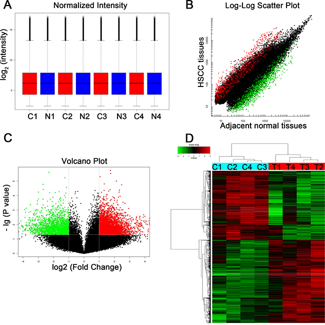 Different expression profiles of circRNAs in HSCC tissues versus adjacent normal tissues.