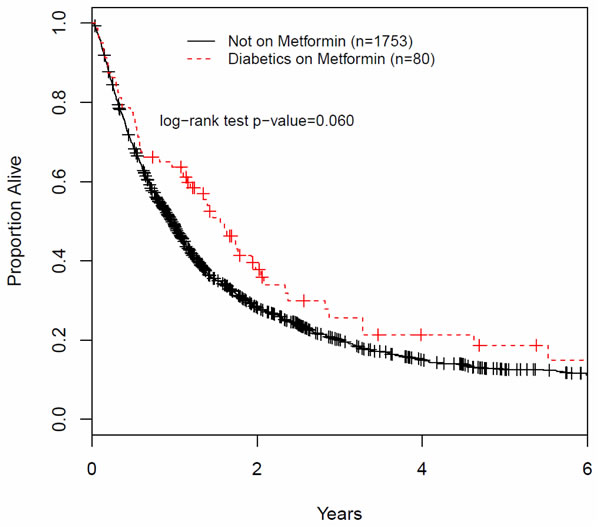 Overall survival of patients with LA-NSCLC treated with chemotherapy and radiotherapy, with or without metformin.