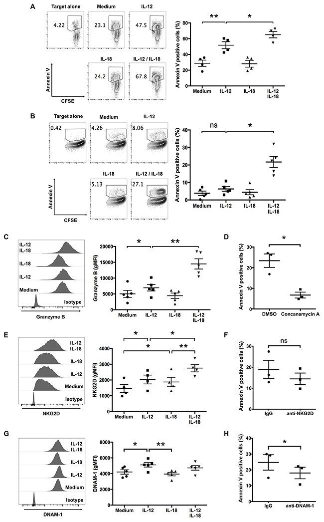 IL-12 alone and in combination with IL-18 augment human V&#x03B3;9V&#x03B4;2 T cell-mediated cytotoxicity.