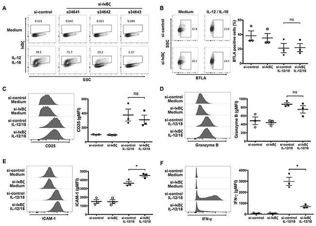 Silencing of I&#x03BA;B&#x03B6; expression in human V&#x03B3;9V&#x03B4;2 T cells attenuates IFN-&#x03B3; production in response to IL-12 and IL-18.