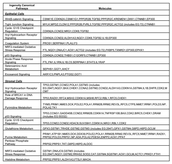 table2.pdf