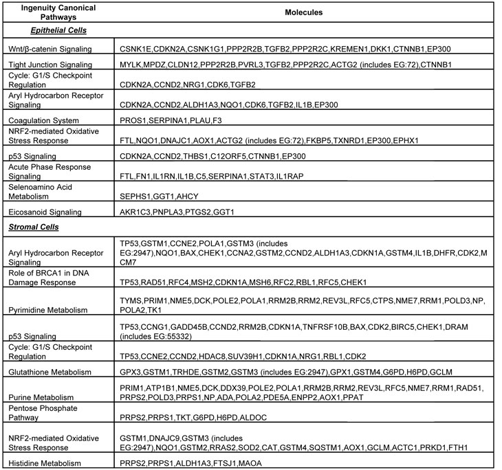 table4.pdf