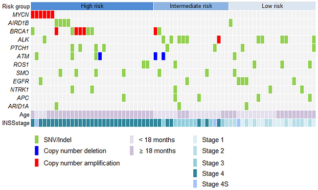 Targeted sequencing to identify genetic alterations.