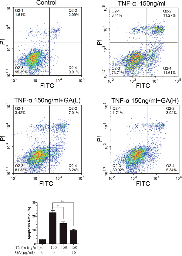 GA resists TNF-&#x03B1;-induced apoptosis in hNPCs.