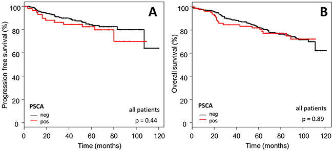 Prognostic relevance of PSCA-expression in the total breast cancer population.