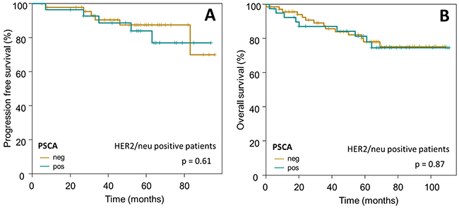 Prognostic relevance of PSCA-expression in HER2/neu positive breast cancer patients.