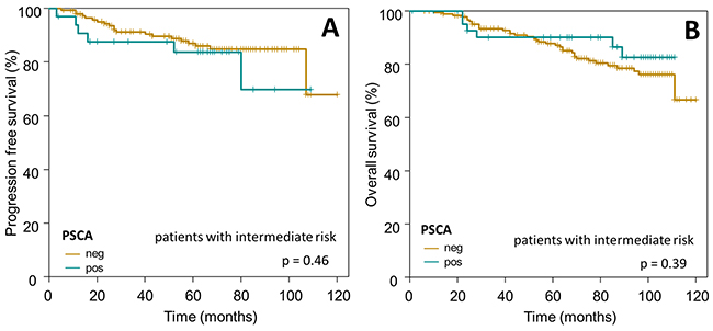 Prognostic relevance of PSCA-expression in breast cancer patients with intermediate risk.
