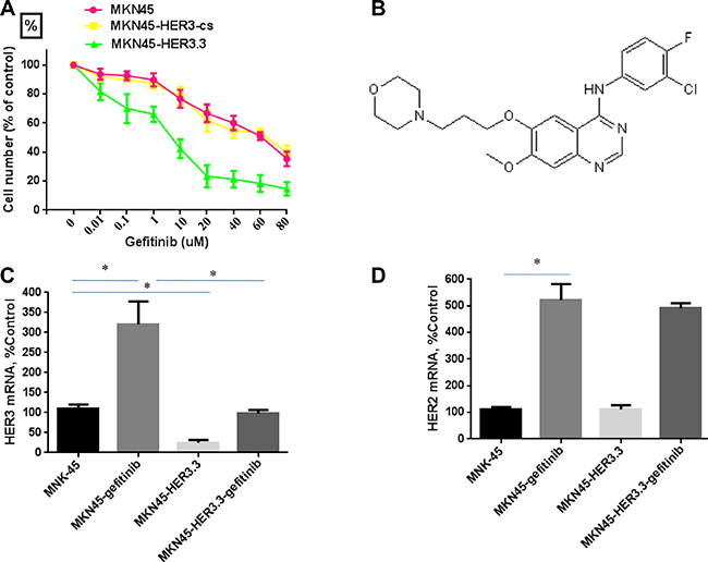 HER3 siRNA potentiates the effect of gefitinib.