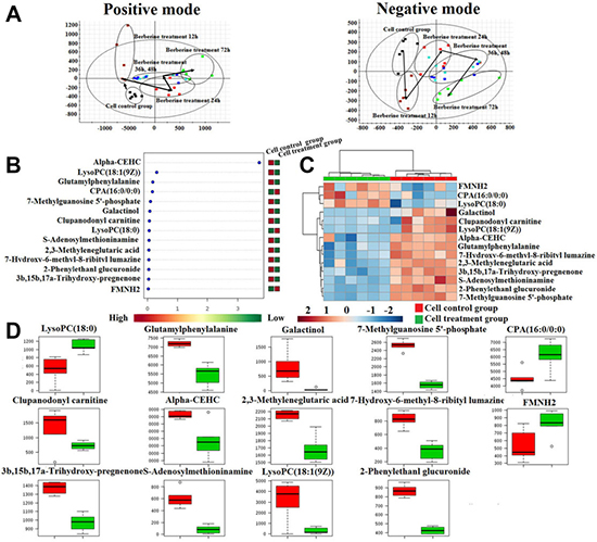 Cell metabolic profiling characterization and multivariate data analysis.