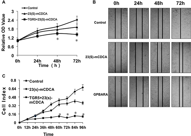 TGR5 activation impairs proliferation and migration of human kidney cancer cells.