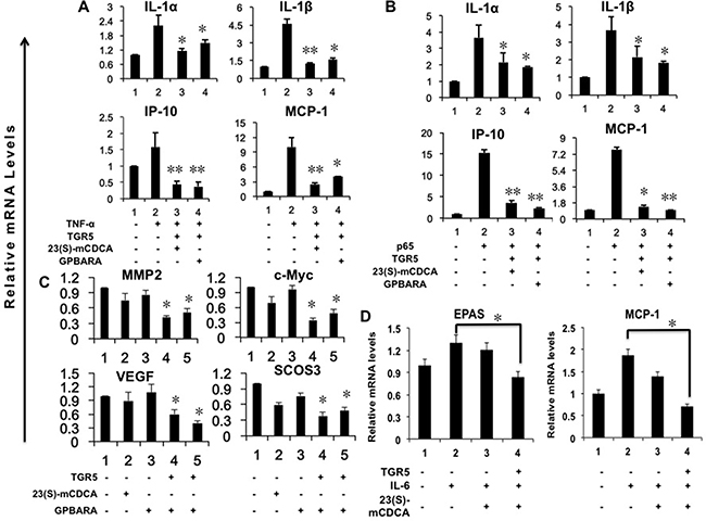 Activation of TGR5 antagonizes NF-&#x03BA;B and STAT3-mediated gene expression in kidney cancer cells.