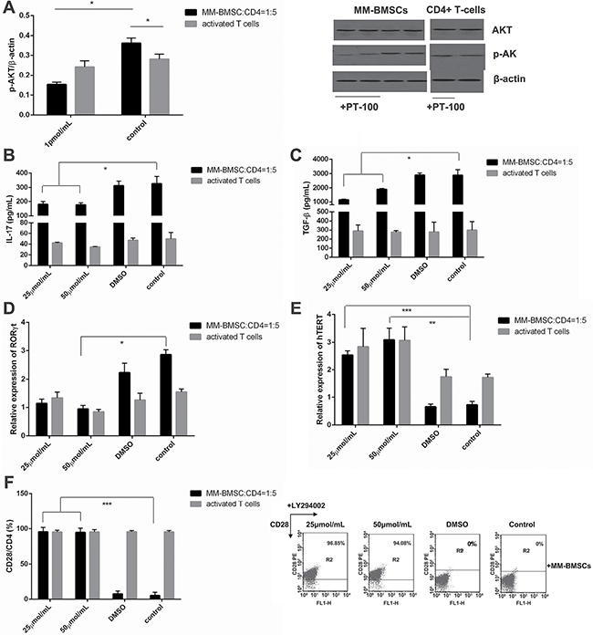 The immunosuppressive effect of FAP&#x03B1; is associated with inappropriate activation of the PI3K signaling pathway.