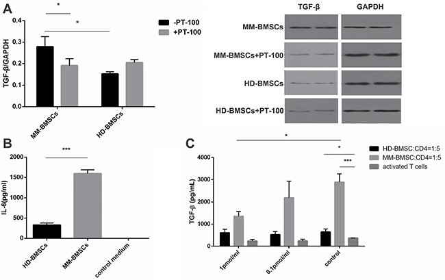 Abnormal cytokine expression in MM-BMSCs.
