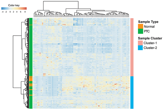 Clustering heatmap visualization of lncRNAs differentially expressed among tumor (n=496) and non-tumor samples (n=59).