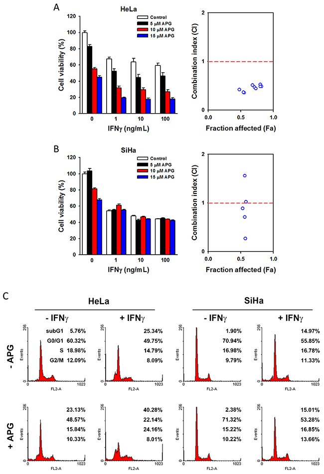 The combinational anticancer activity of apigenin and IFN&gamma;.