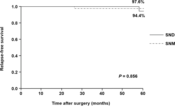 Relapse-free survival curves in the SNM and SND groups.