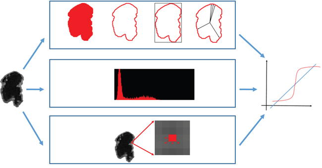 Quantitative features extracted from the tumor area were combined in a logistic regression classifier.