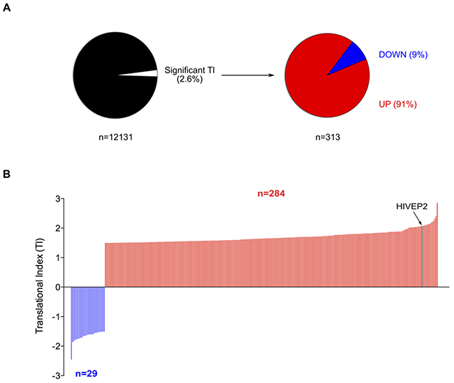 Effect of 5-FU on translatome of HCT-116 cells.