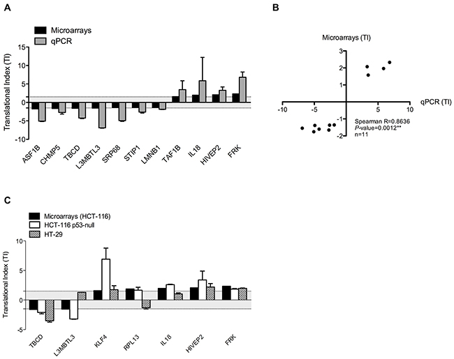 Validation of translatome profiling in a panel of colorectal cancer cell lines.