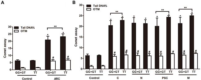 The correlation of rs4585-T with DNA breaks and ARC risk.