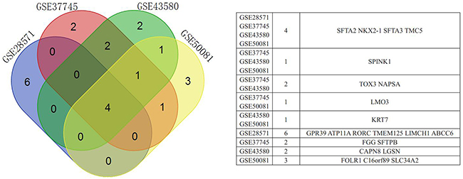 Venn diagram showing upregulated DEGs common to all four GEO datasets.