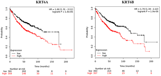 Kaplan-Meier survival curves for KRT6A and KRT6B expression in LADC patients.