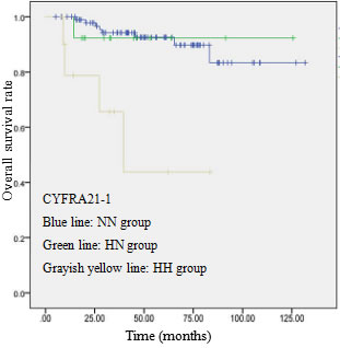 OS curve of 123 patients with p-stage I ADC based on serum CYFRA21-1 levels.