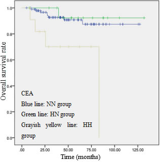 OS curve of 123 patients with p-stage I ADC based on serum CEA levels.