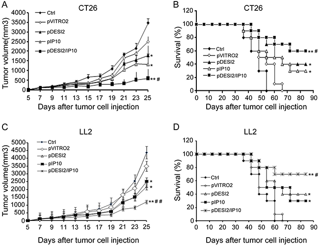 Improved therapeutic effect of co-expression of DESI2 and IP10 on two murine tumor models.