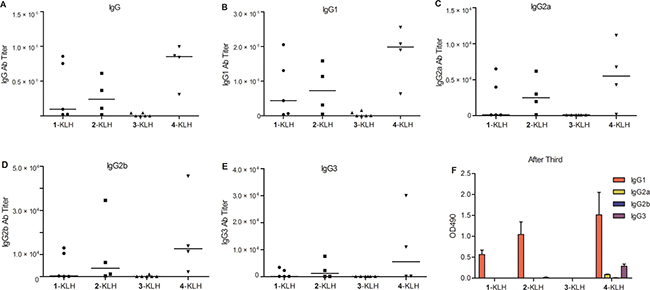 Fluoro-substituted STn vaccines improve the antibody response in the presence of adjuvant.