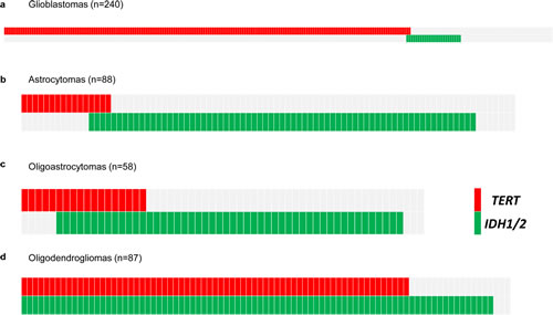 Fig 1: Distribution of