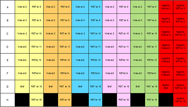 Scheme of a 96-well plate to analyze five samples simultaneously.