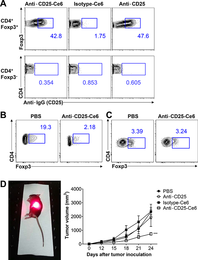 Anti-CD25-Ce6-targeted PDT induces depletion of intratumoral Tregs and regression of B16-F10 melanoma in vivo.