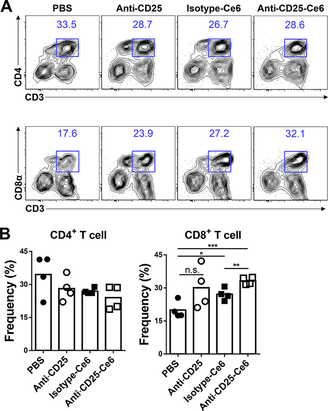 Anti-CD25-Ce6-targeted PDT induces CD8+ T-cell tumor infiltration.