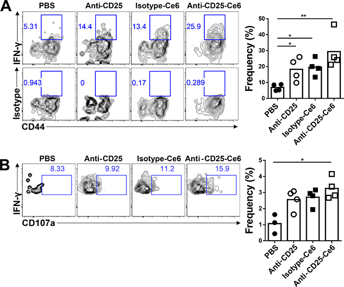 Anti-CD25-Ce6-targeted PDT induces cytotoxic T-cell responses and T-cell polyfunctionality.