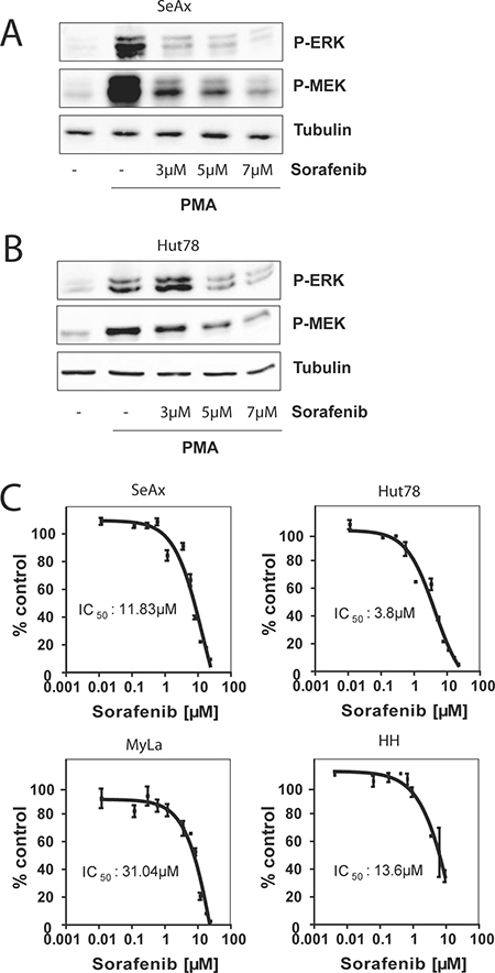 Sorafenib blocks RAS signaling and inhibits cell growth.