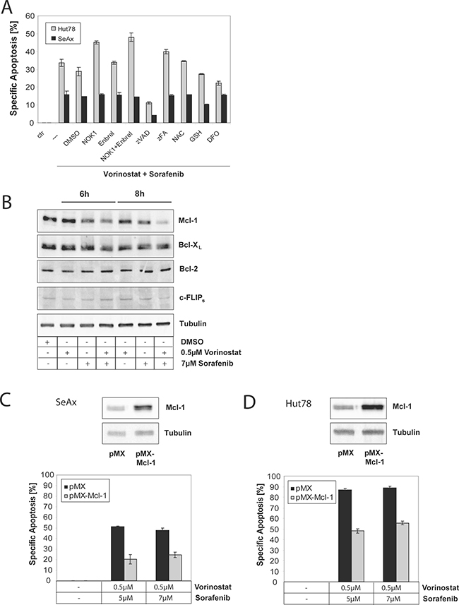 Sorafenib and Vorinostat induce apoptosis synergistically via down-regulation of Mcl-1.