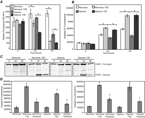 MRV kills hypoxic prostate tumor cells via apoptosis.