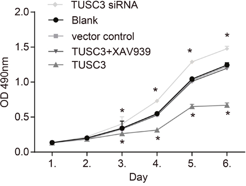 MTT assay growth curves for A549 cells in the blank, vector control, TUSC3, TUSC3 siRNA, and TUSC3 + XAV939 groups.