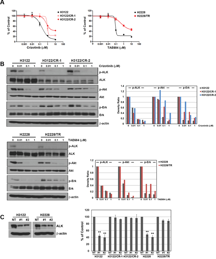 Development of acquired resistance to ALK inhibitors in the H3122 and H2228 cell lines.