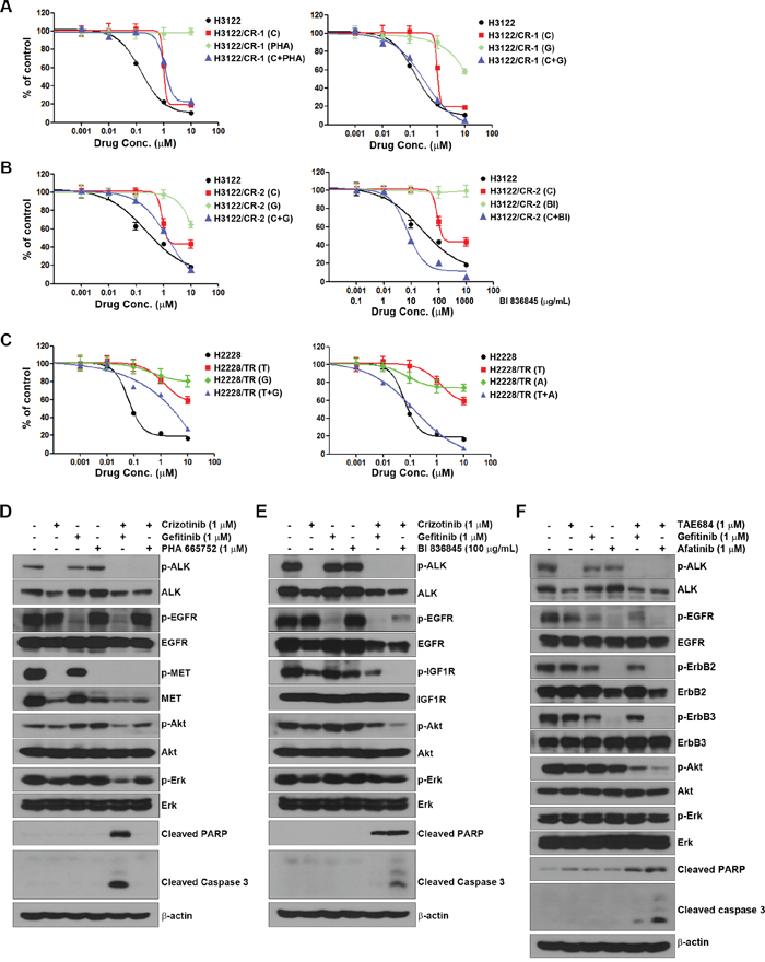 Activation of EGFR and IGF1R in acquired resistance to ALK inhibitors.