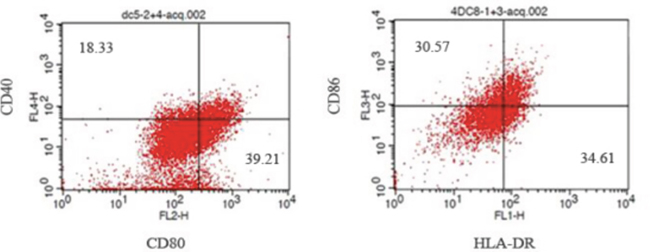 Analysis of DCs cells positive for CD40, CD80, CD86 and HLA-DR by flow cytometry.