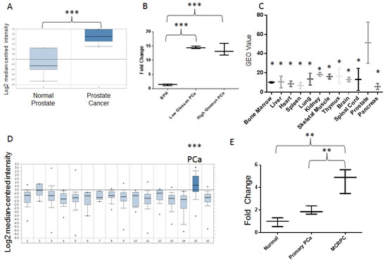 Figure2: